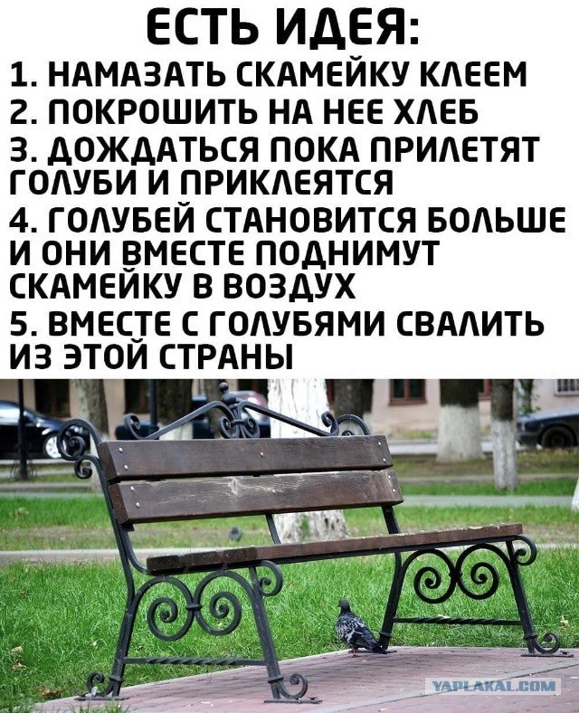 Немного картинок для настроения 01.07.20