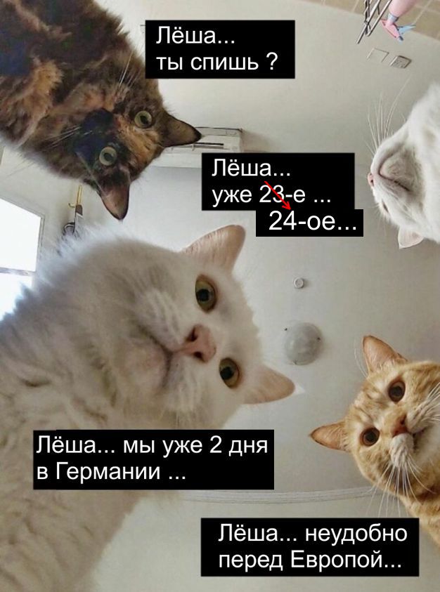 Алексей не «Новичок»