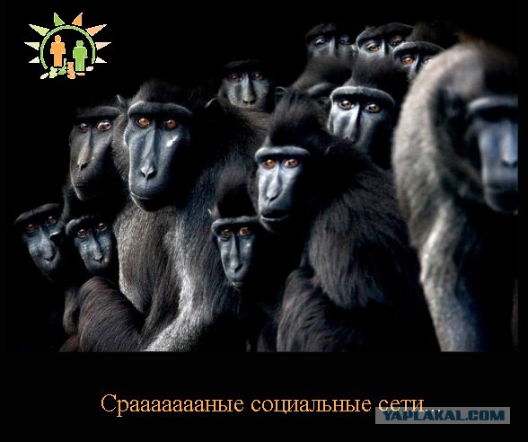 Ассоциации