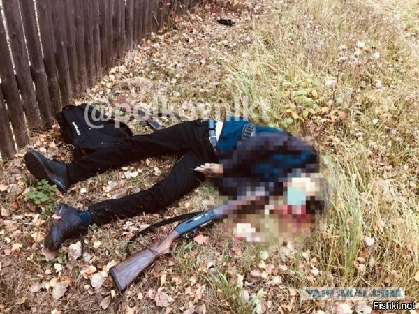 В Нижегородской области мужчина расстрелял пассажирский автобус – погибли 4 человека