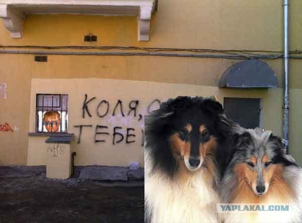 Фотожаба: Коля, она тебе не даст!