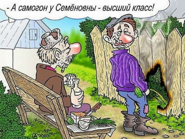 Боянистые картинки 19.12.20