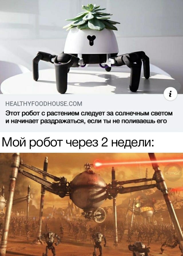 Картинки и мемы для настроения 024