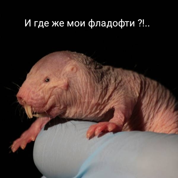 Всякая всячина 29.12.2020