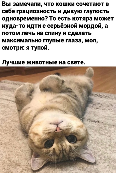 Картинки 11.02
