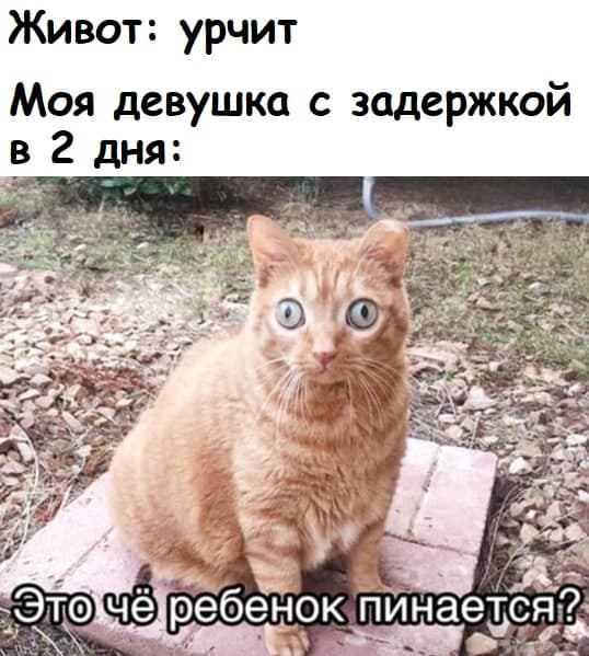 Мемы про секас