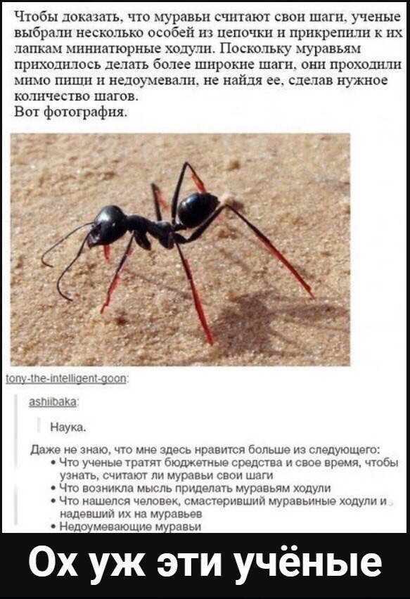 Отмена деградации. Околонаучные картинки