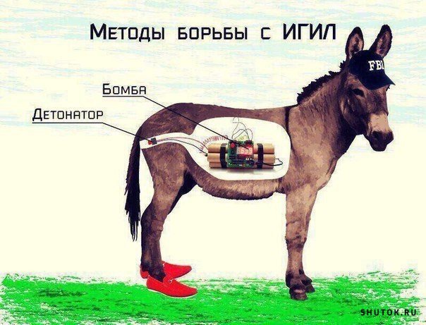 Юмор и прикольные картинки 28.04.2021