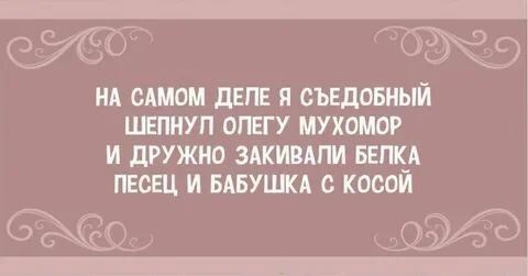 Алкопост выходного дня