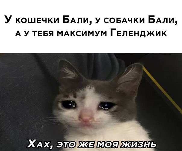Картинки и мемы для настроения