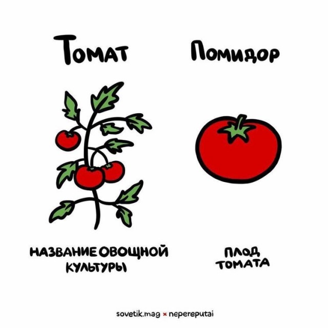 А может вы не знали...