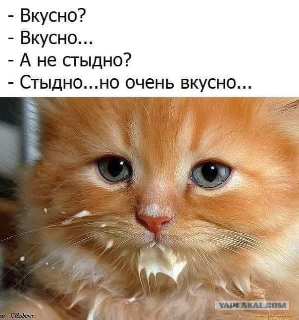 Месево из картинок, поулыбаться или тупо пофтыкать