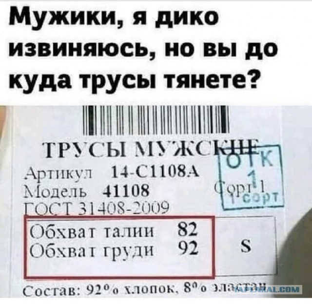 Всяческие картинки 15.12.2021