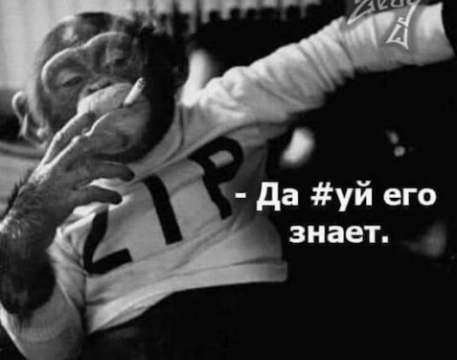 Картинки разные 31.01.22