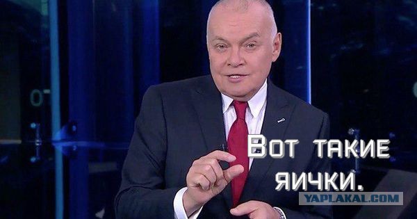 Чем кормят курочек в деревне