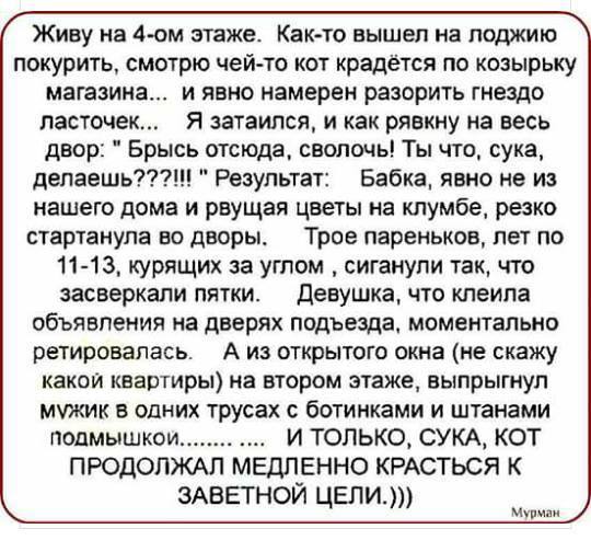 Воскресенье. Вечер. Картинки для зарядки позитива на понедельник