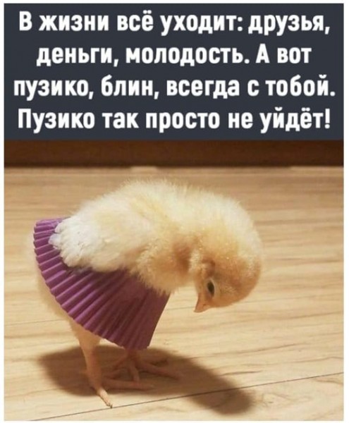 Пятница. Вечер. Картинки всякие... #5