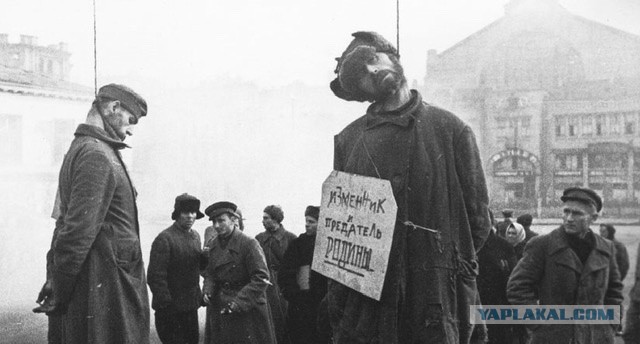 Билборды от Минобороны РФ в Луганске ко Дню России