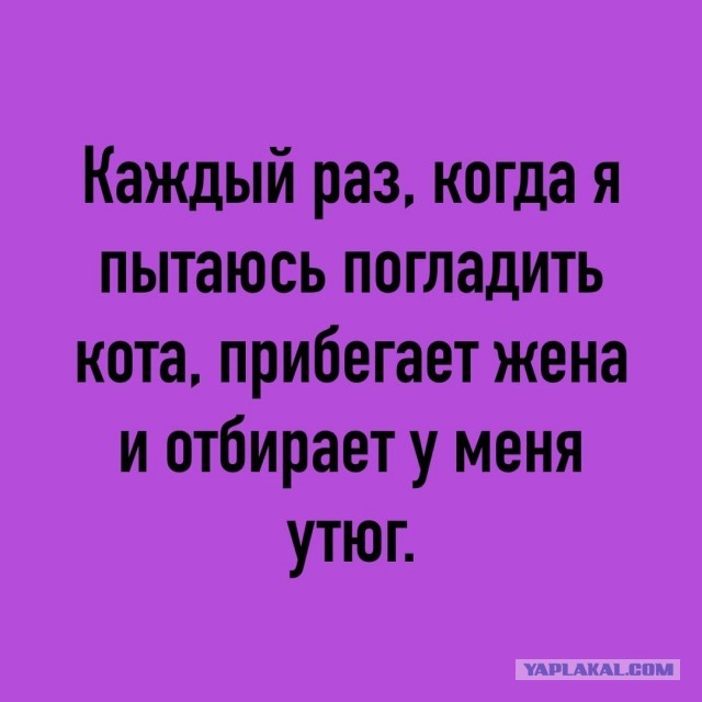 Так себе картинки 01.10.22