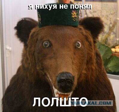 Ух-ты! Вот это соревнования!