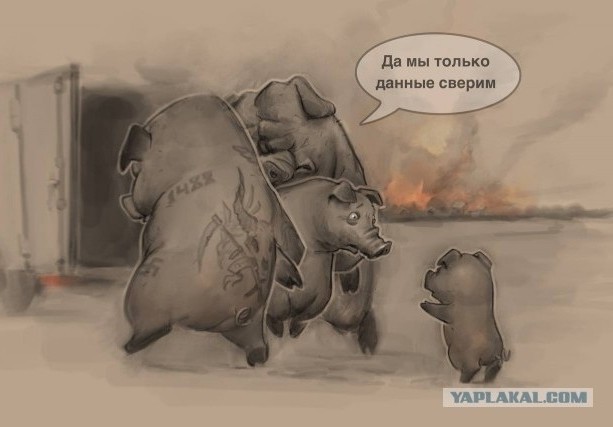 Весело-то как президенту Украины !