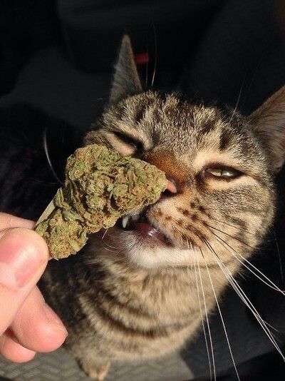 Прикольные и просто красивые картинки 17.02.2023