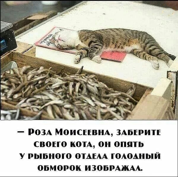 Картинки разной степени баянистости