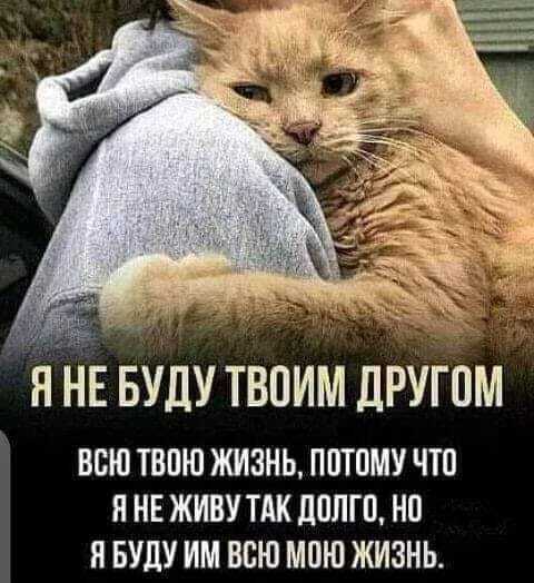 Десятая жизнь