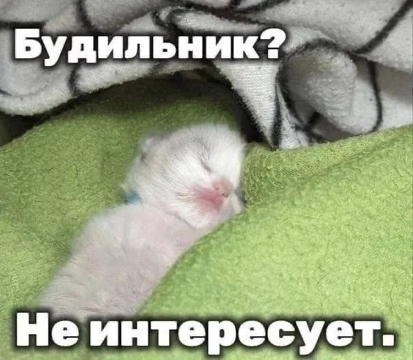 Приколы с налетом деградации