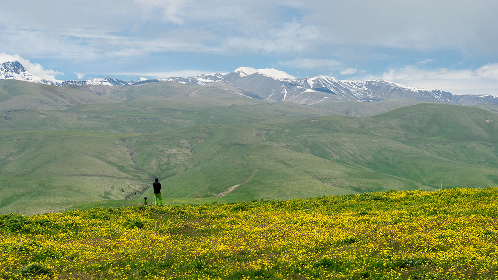 Песня и кто его знает чего он моргает. И кто его знает текст. И кто его знает чего он моргает. Глобус львовский текст. Ноты песен для аккордеона.