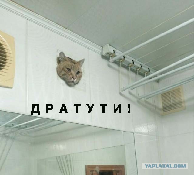 Что, застрял?