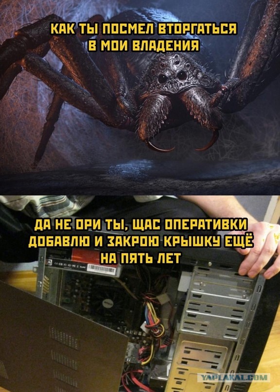 Деградируем и подпеваем - v. 2,0