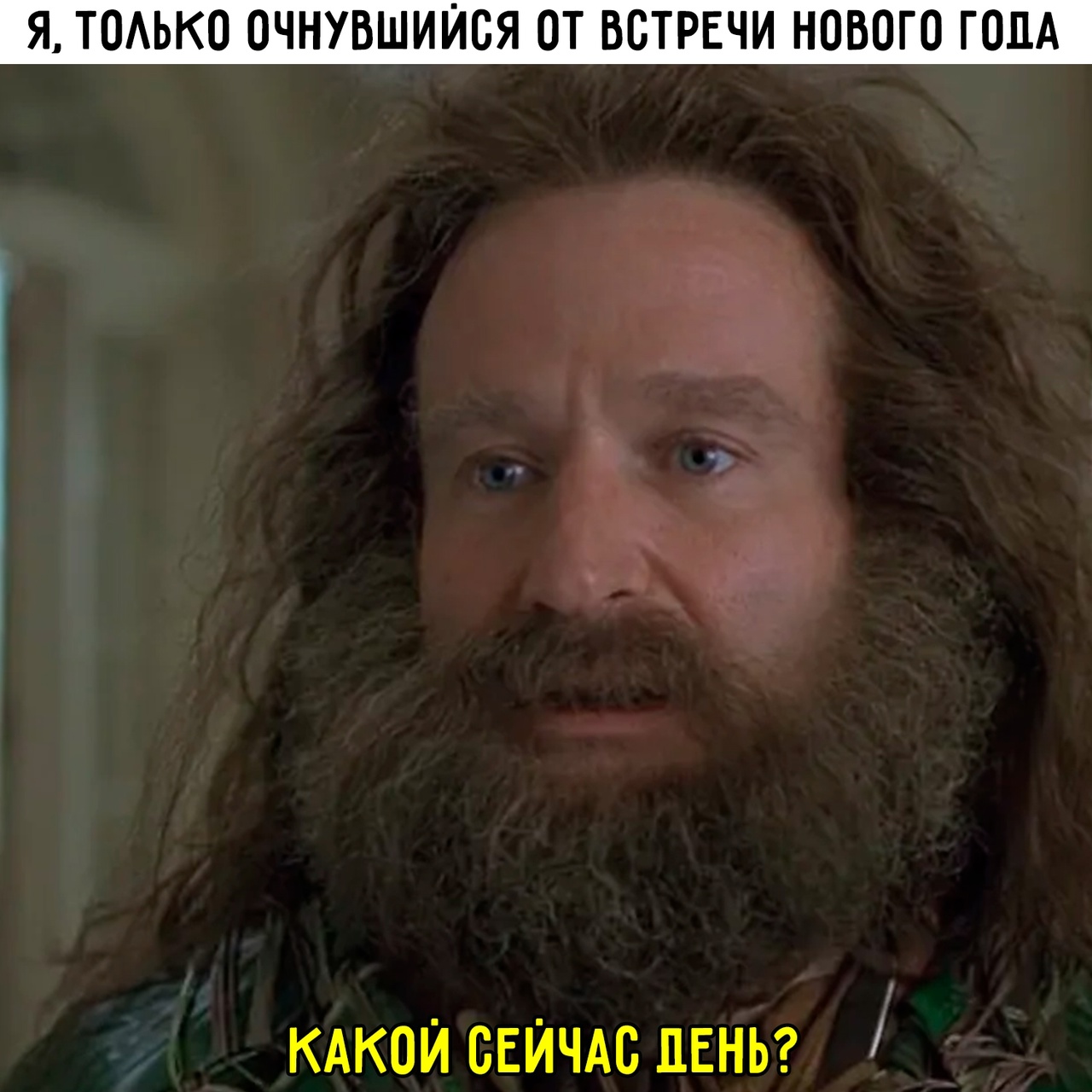 Весёлый полтишок 08.01.25