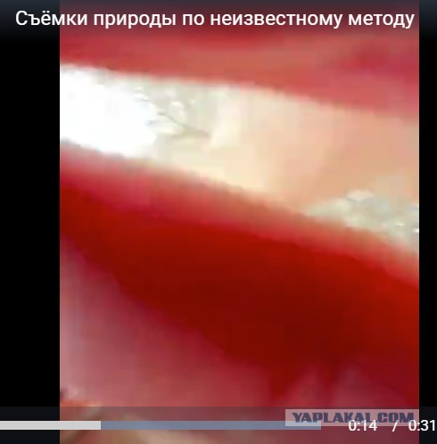 Съёмки природы по неизвестному методу