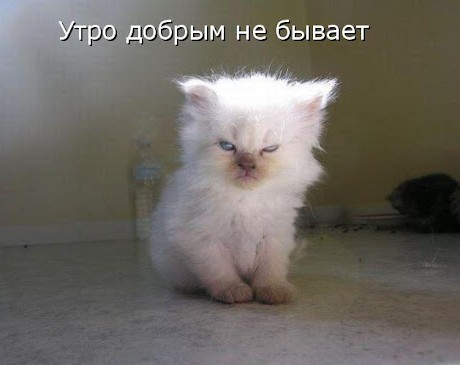 Пост эгоиста