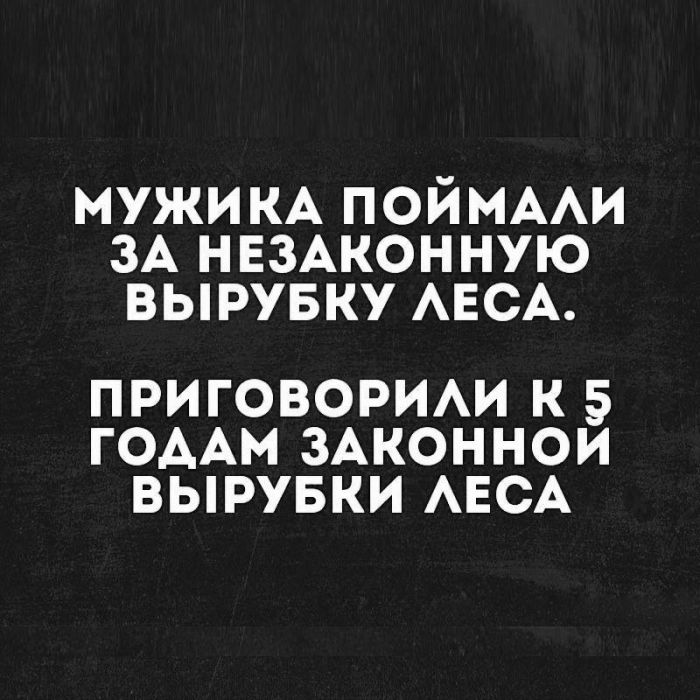 20588451.jpg