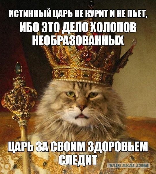 Какой сегодня день недели ?