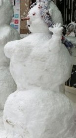Погода. Воронеж.
