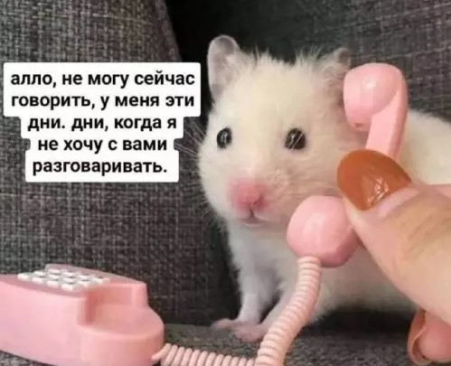 Картиночки, баянчики 27 марта