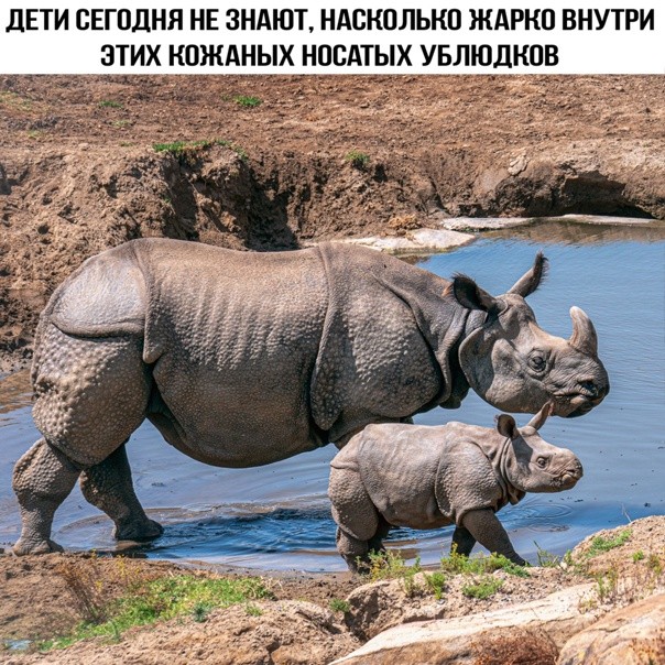 Картинки для деградации 188 (разной степени свежести)