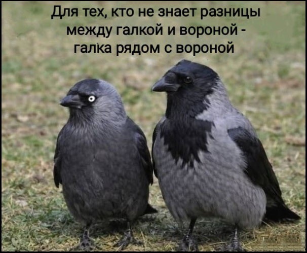 Вторника картинки