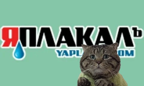 Фотожаба: Грустный котик