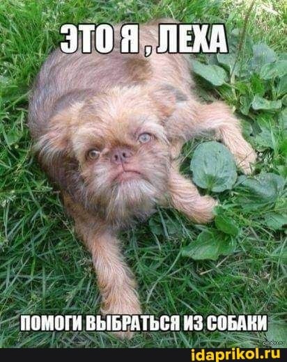 Жужа