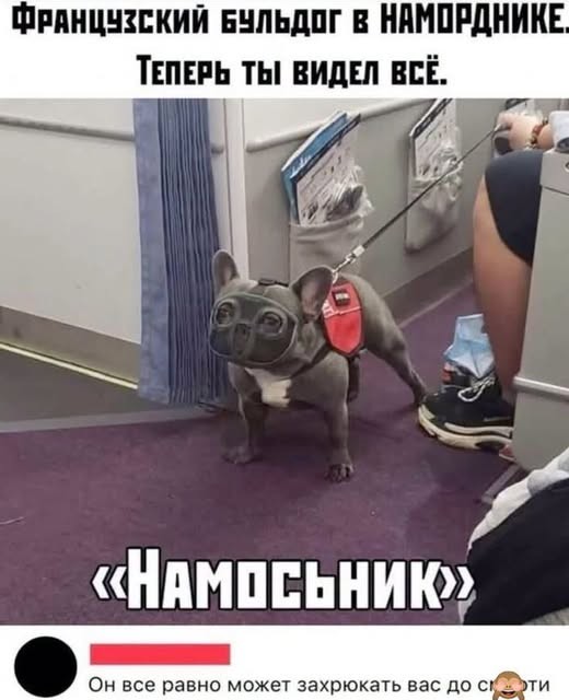 Разные картинки 03.08.26