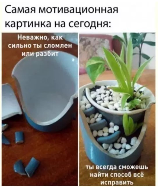 Картинки для деградации 260 (разной степени свежести)