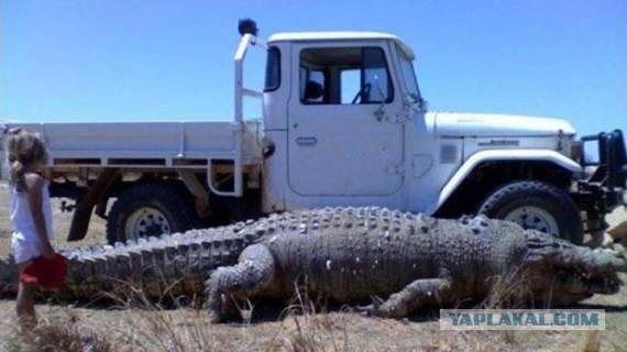 А Австралия че?