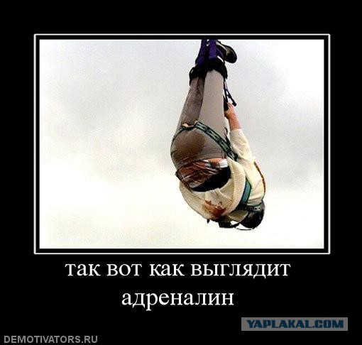 Опять из армии