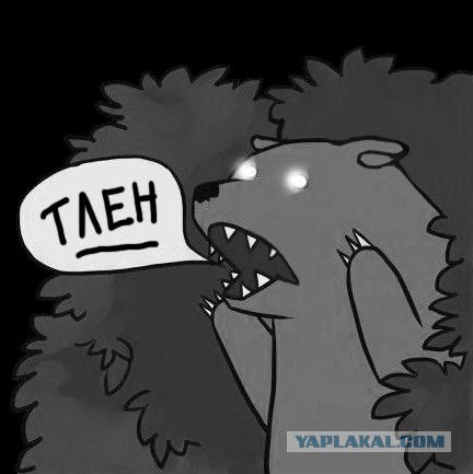 Медведи почти на все случаи жизни