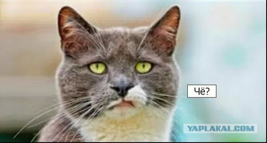 Обычные слова для нас