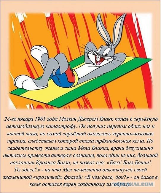Интересные факты обо всем на свете